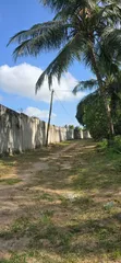 Large Farm for Sale in Dundani, Mkuranga - 3