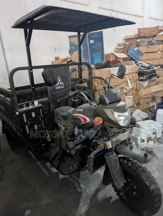 SanLG SL200ZH Tricycle 2025 Kijani - 1