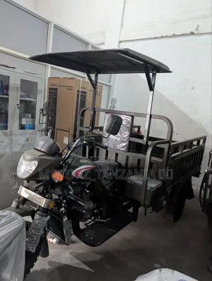 SanLG SL200ZH Tricycle 2025 Green