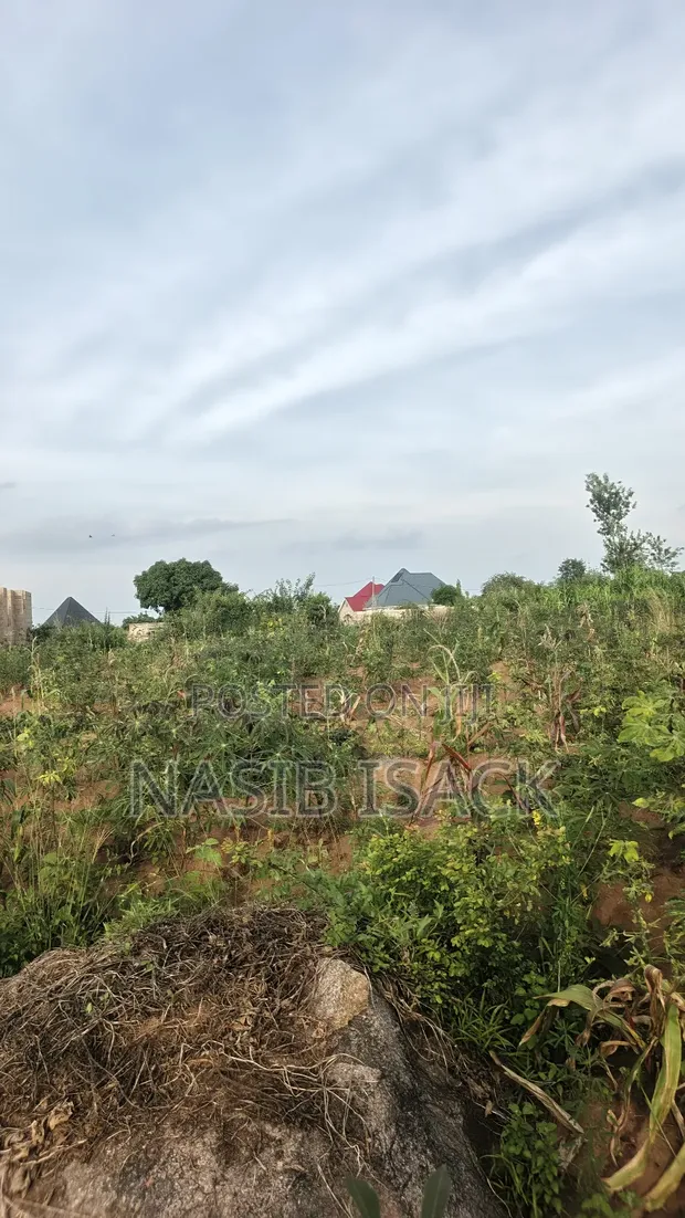 Plot for Sale in Mwanza Busweru - 1