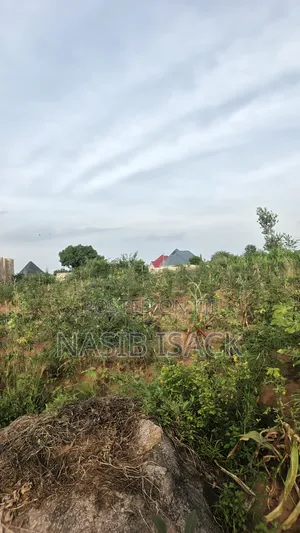 Kiwanja Kinauzwa Mwanza Busweru