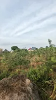 Plot for Sale in Mwanza Busweru - 1