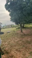 Plot for Sale in Mwanza Busweru - 2