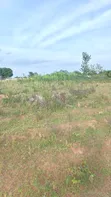 Plot for Sale in Mwanza Busweru - 3