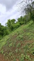 Shamba la Kilimo Linauzwa Dakawa, Morogoro - 1
