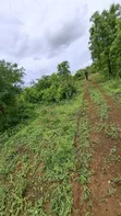 Shamba la Kilimo Linauzwa Dakawa, Morogoro - 2