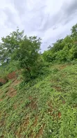 Shamba la Kilimo Linauzwa Dakawa, Morogoro - 3