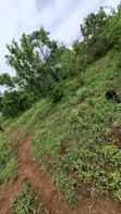Shamba la Kilimo Linauzwa Dakawa, Morogoro - 4