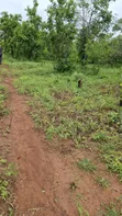 Shamba la Kilimo Linauzwa Dakawa, Morogoro - 5