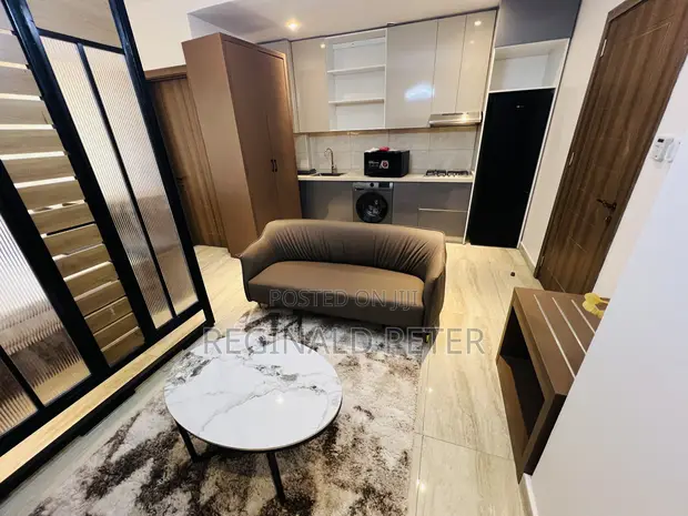 Furnished Studio Apartment for Rent in Kinondoni, DSM - 1