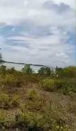 Beach Plot for Sale - Zanzibar Pongwe (6000 sqm) - 4