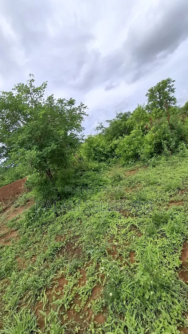 Hekta 50 za Eneo kwa Mauzo, Morogoro - 1