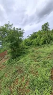 Hekta 50 za Eneo kwa Mauzo, Morogoro - 1