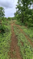 Hekta 50 za Eneo kwa Mauzo, Morogoro - 2