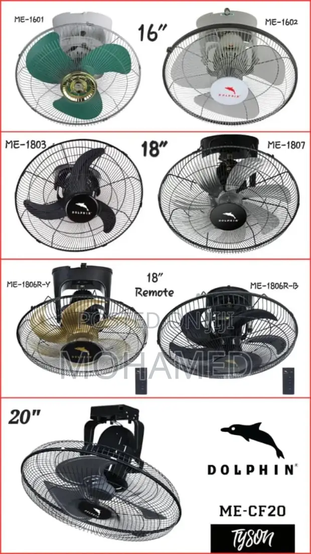 Dolphin Orbit Fan - White - 1