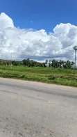Hekta 2 za Kiwanja Zinauzwa Mwanza Nyamongoro - 5