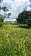 Eneo la Viwanja 6300 sqm Linauzwa Mwanza Nyamhogoro - 3
