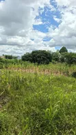Eneo la Viwanja 6300 sqm Linauzwa Mwanza Nyamhogoro - 5