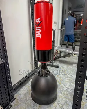 Bodygym Standing Punching Bag