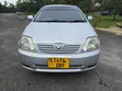 Toyota Allex 2003 Nyeupe - 2