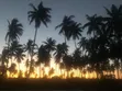 2-Bedroom House for Sale in Mafia Island - 3