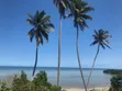 2-Bedroom House for Sale in Mafia Island - 4