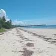 Beachfront Plot for Sale - Ushongo, Pangani, Tanga - 2