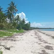 Beachfront Plot for Sale - Ushongo, Pangani, Tanga - 3