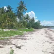 Beachfront Plot for Sale - Ushongo, Pangani, Tanga - 4
