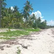Beachfront Plot for Sale - Ushongo, Pangani, Tanga - 5