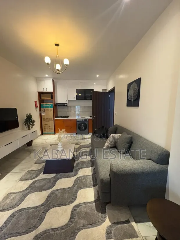 Furnished Studio Apartment for Rent in Kinondoni - 1