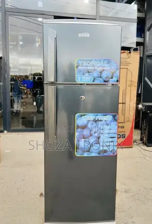 Friji la Boss BS202SVR