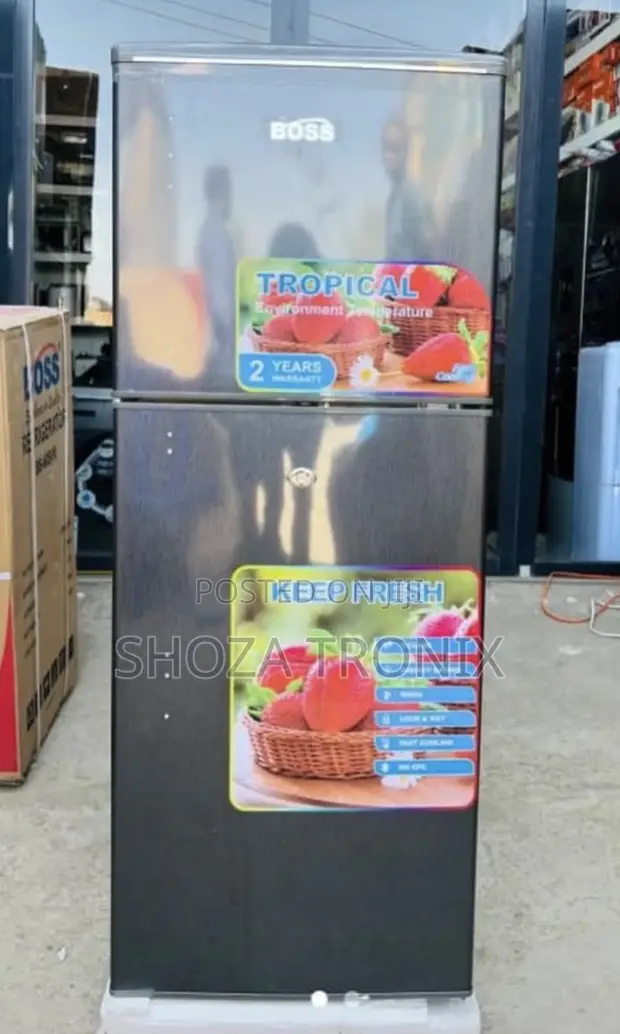 Boss BS110SVR Refrigerator - 1