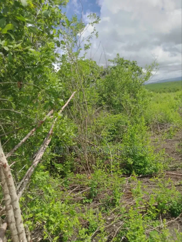 50 Hectares Farm Land for Sale, Kiwangwa - 1