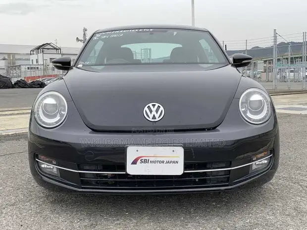 Volkswagen New Beetle 2013 Purple - 1