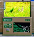 Soyi Pro 32-Inch LED TV - 2