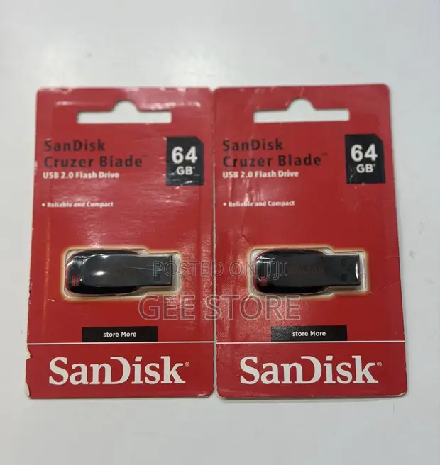 64GB Sandisk Flash Drive - 1