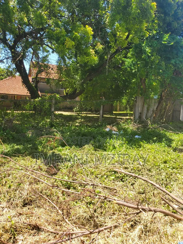 5-Bedroom Bungalow for Sale in Oyster Bay - 1