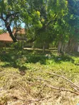 5-Bedroom Bungalow for Sale in Oyster Bay - 1