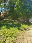 5-Bedroom Bungalow for Sale in Oyster Bay - 2