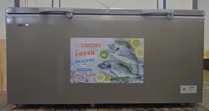 Snowsea 550 Liter Chest Freezer