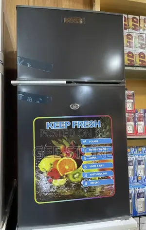 Boss BS60SVR Fridge