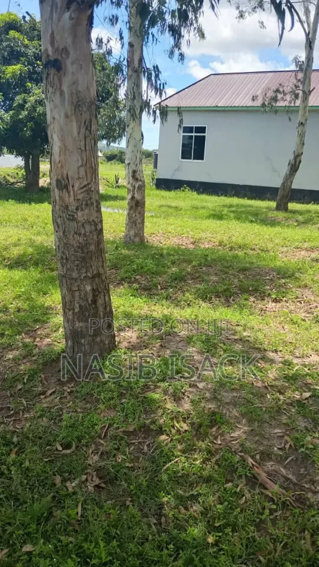 Plot for Sale in Mwanza Nyashishi - 1