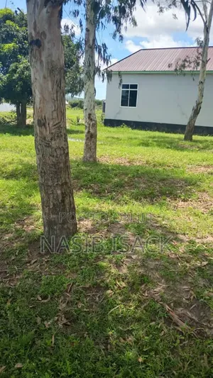 Plot for Sale in Mwanza Nyashishi