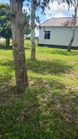 Plot for Sale in Mwanza Nyashishi - 1