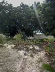 Nyumba ya Vyumba 4 vya Kulala Mbezi Beach Inauzwa - 4