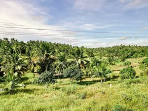 2 Acres Land for Sale, Mkuranga (Kilwa Road)