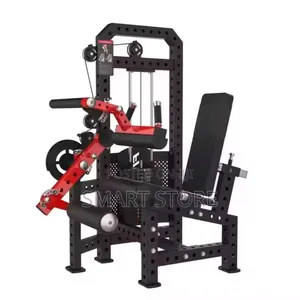Brand New Bodygym 2-in-1 Leg Extension/Prone Leg Curl Machine
