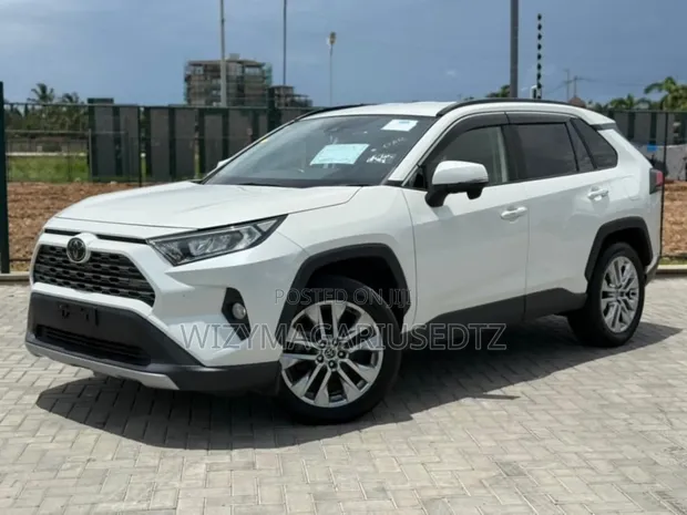 2019 Toyota RAV4 XLE AWD Off-White - 1