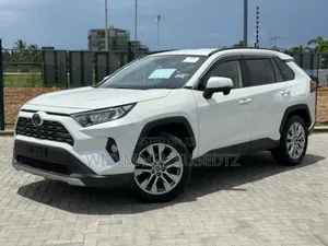 Toyota RAV4 XLE AWD 2019 Nyeupe